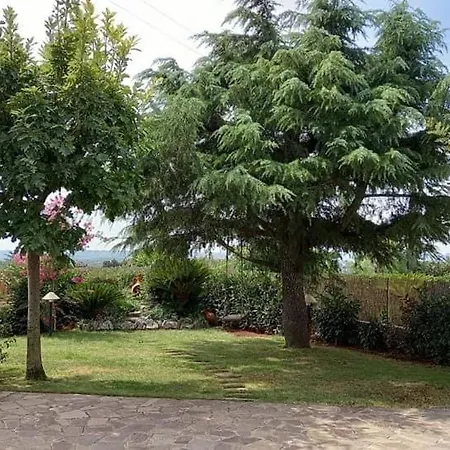 Marinelli Locorotondo